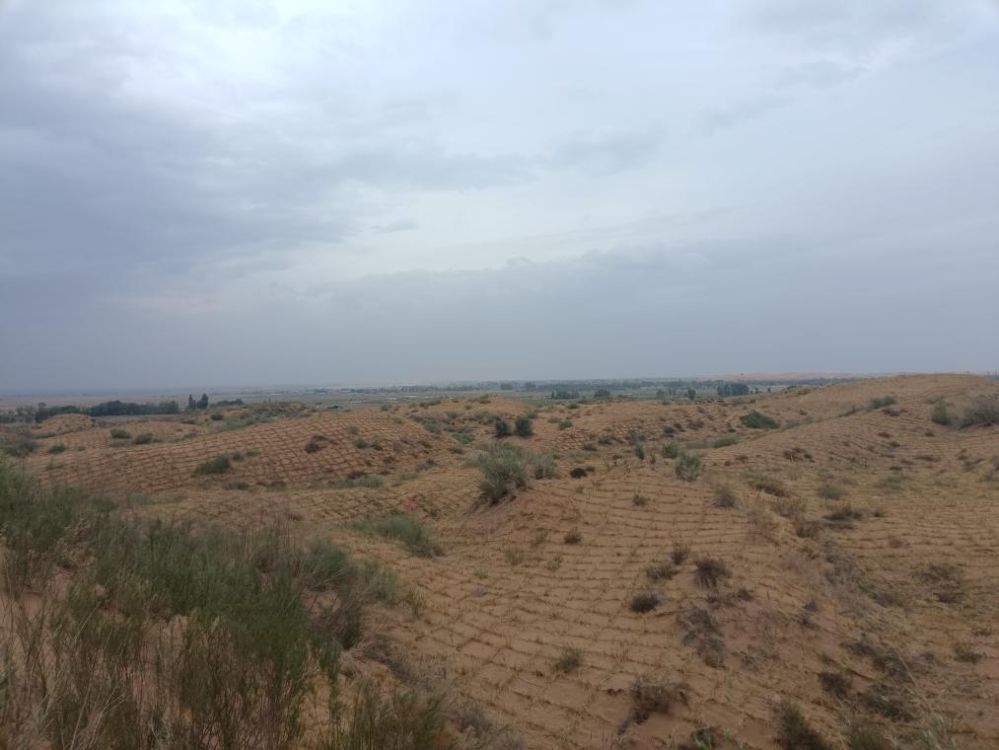 1717744821938342.jpg 608ad014599593b0456b20a820ad5cec_16532956776785173719.jpg