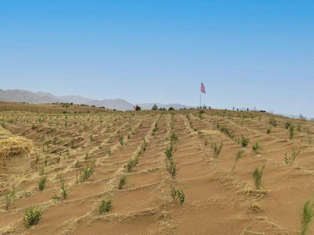 1717744993498764.jpg 90e6f7acd71888ce4e75788d468ede9a_12252166179479301568.jpg