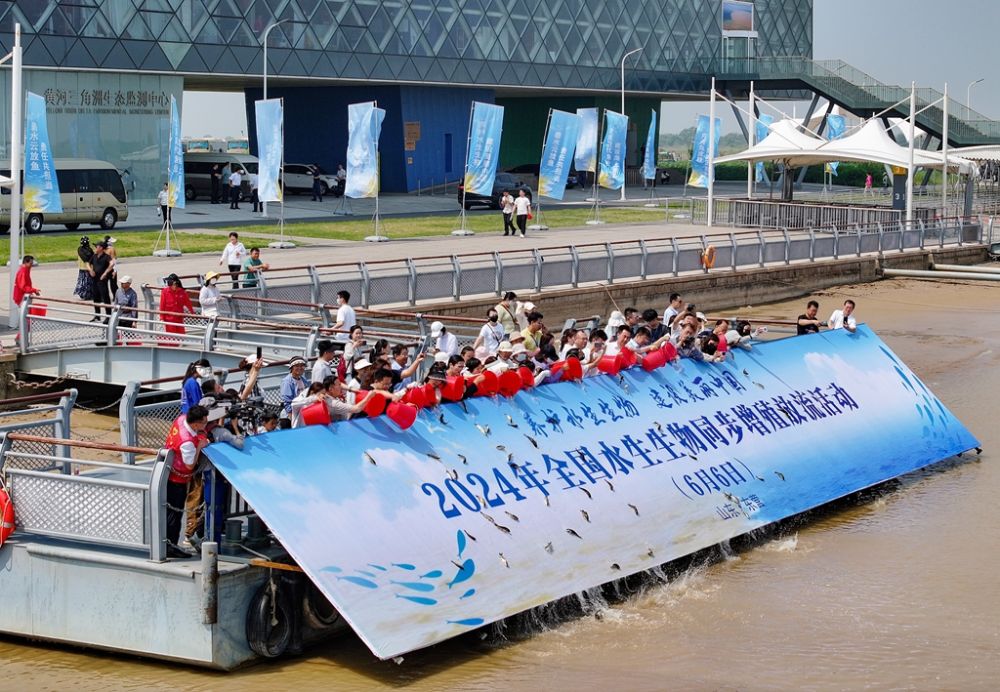 1719474812537600.jpg 1.jpg