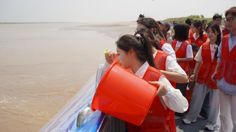 1719474824394453.jpg 2.jpg