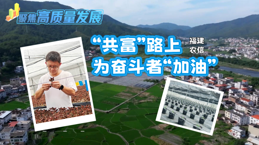 1722824328384167.png 1.png