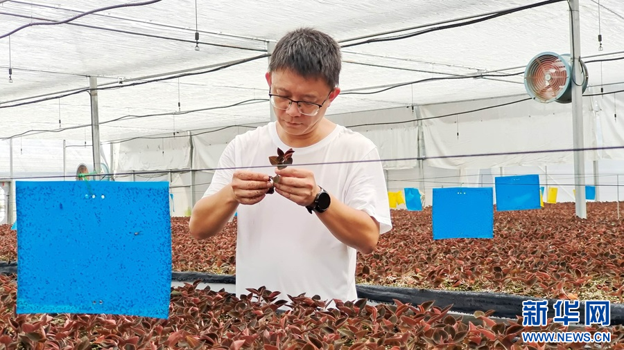 1722824766638563.jpg 5.jpg