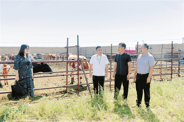 1723541056596336.jpg ed4f9a8daeaa033c17be06a70a5c02ce_W020240813222197167148.jpg