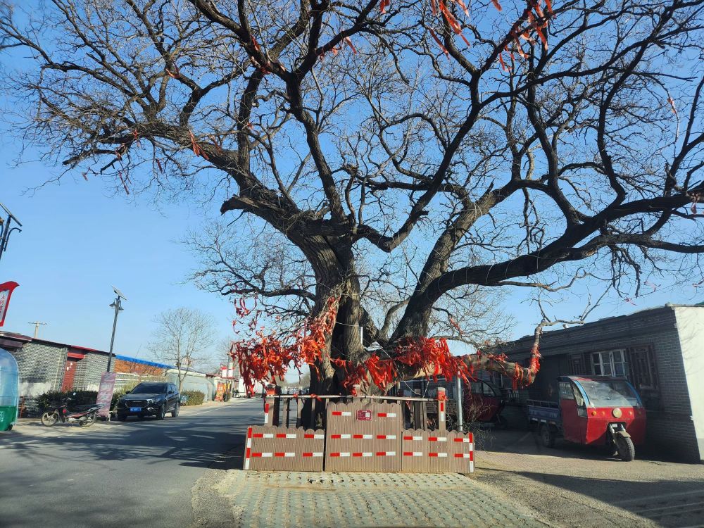 1737023921540096.jpg 微信图片_20250116183614.jpg