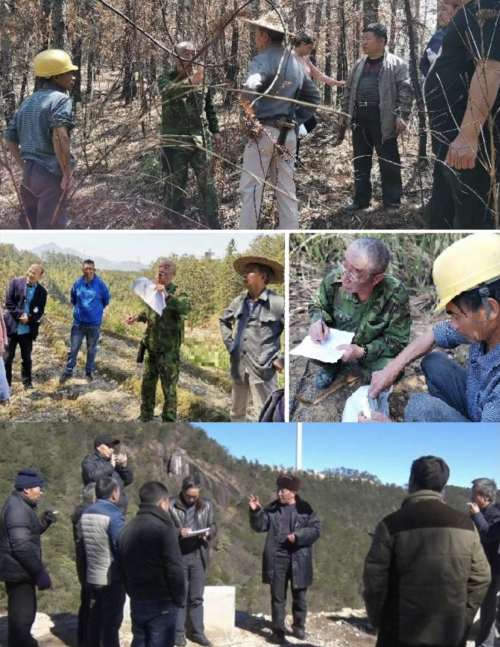 1741228229986597.png image.png