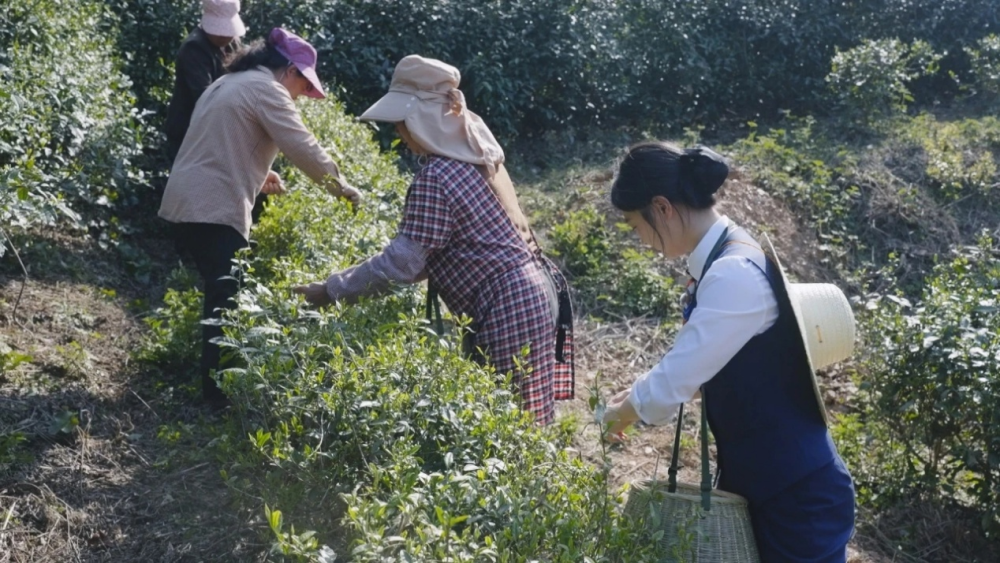 1745828300199867.png 图片1.png