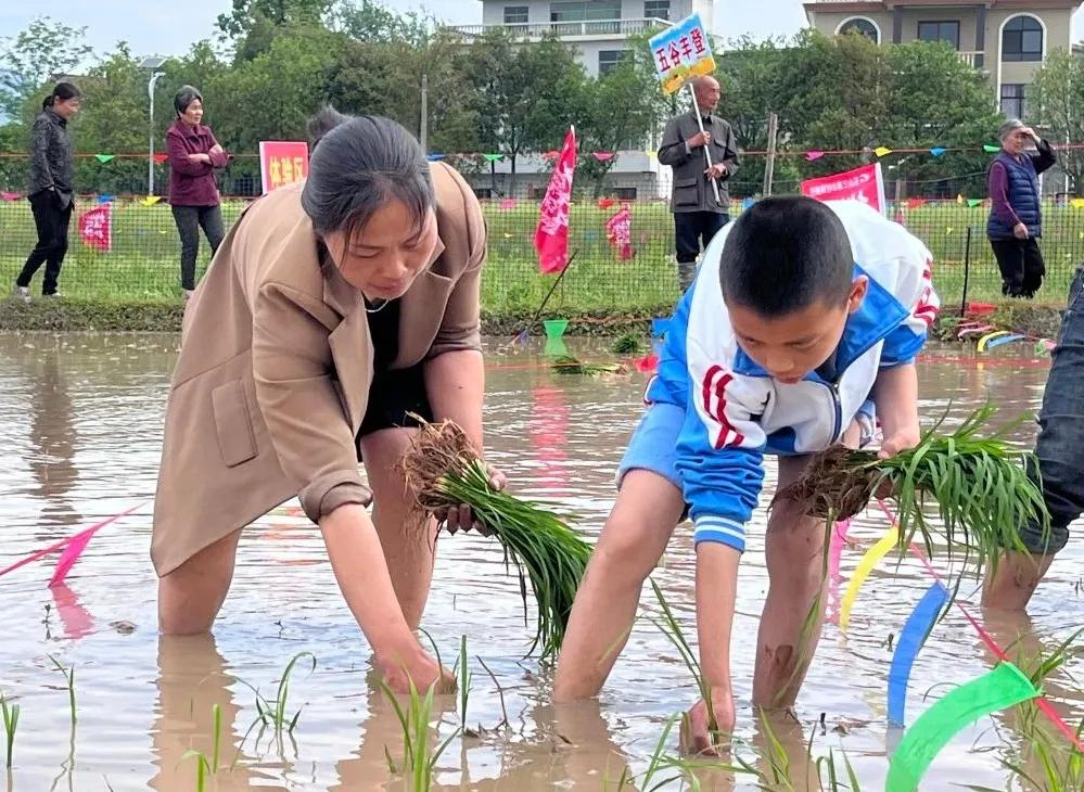 1745828554781549.png 图片2.png