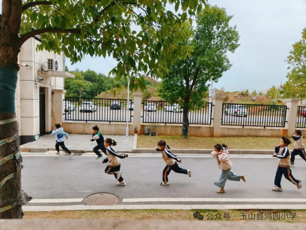 1763018206324129.png 图片1.png